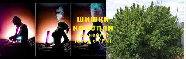 шишки Балабаново