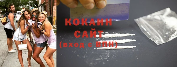 шишки Балабаново