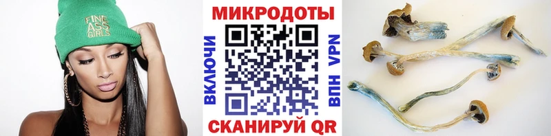 Псилоцибиновые грибы Magic Shrooms  магазин    Георгиевск 
